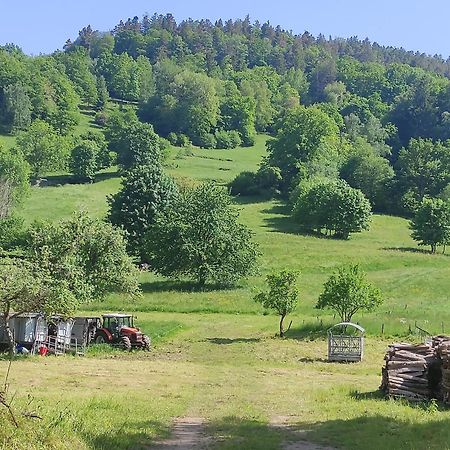 Les Studios Du Frankenthal Stosswihr Dış mekan fotoğraf