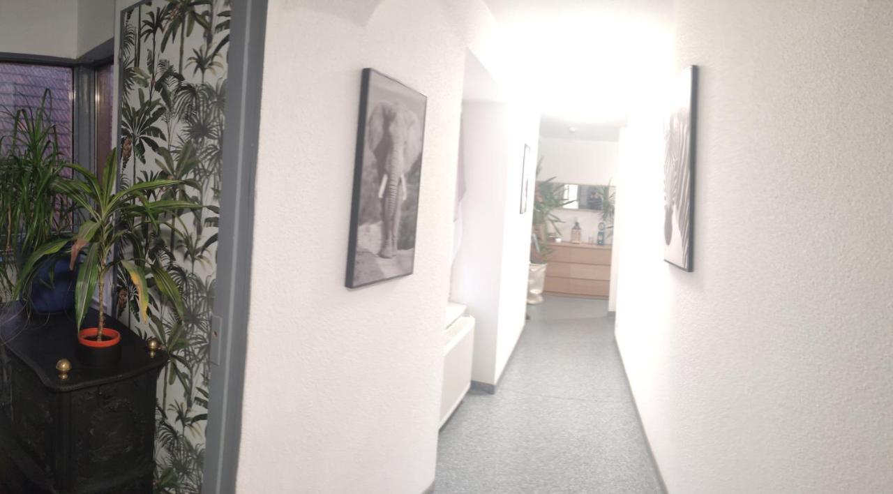 Les Studios Du Frankenthal Stosswihr Dış mekan fotoğraf