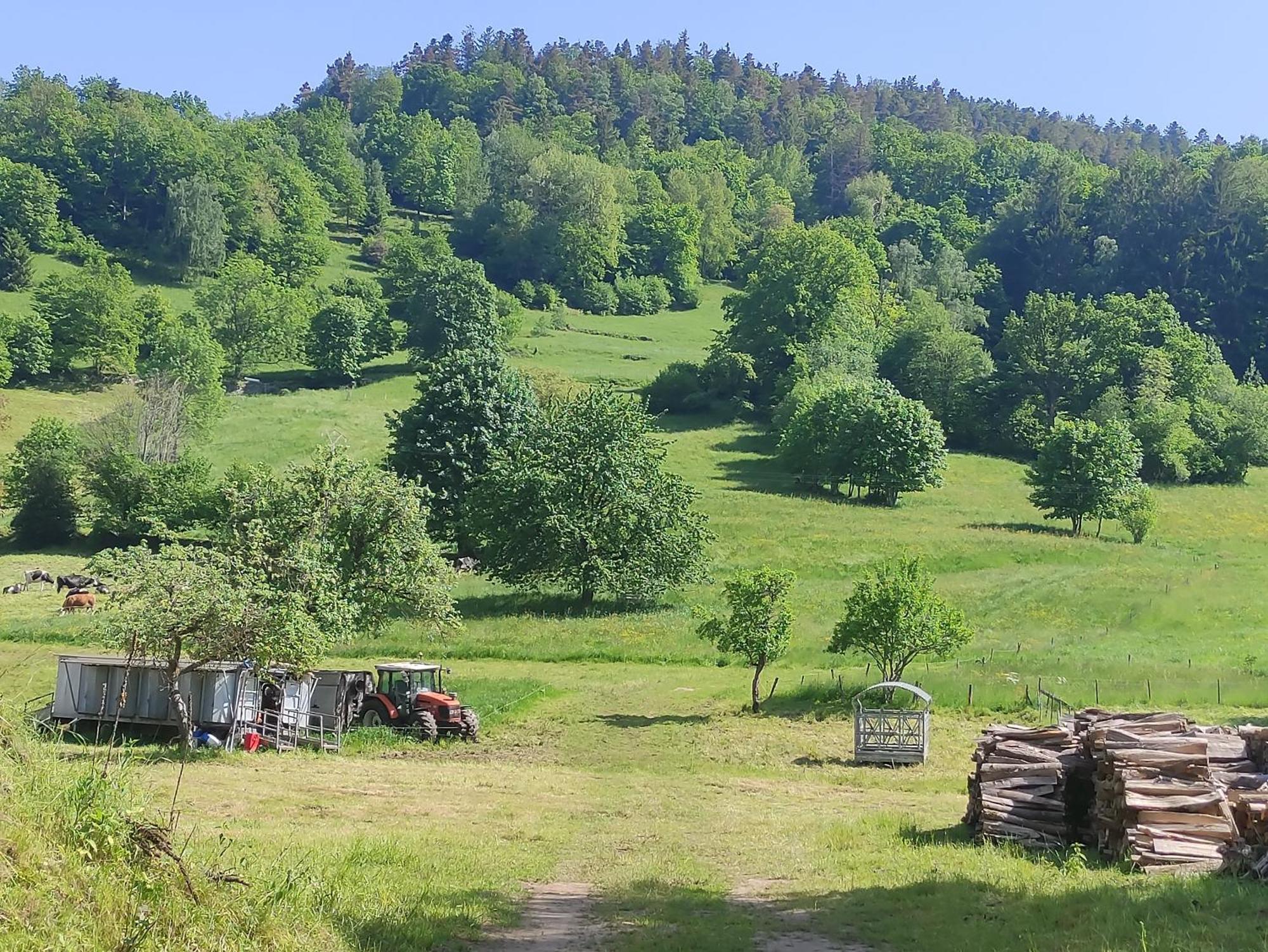 Les Studios Du Frankenthal Stosswihr Dış mekan fotoğraf