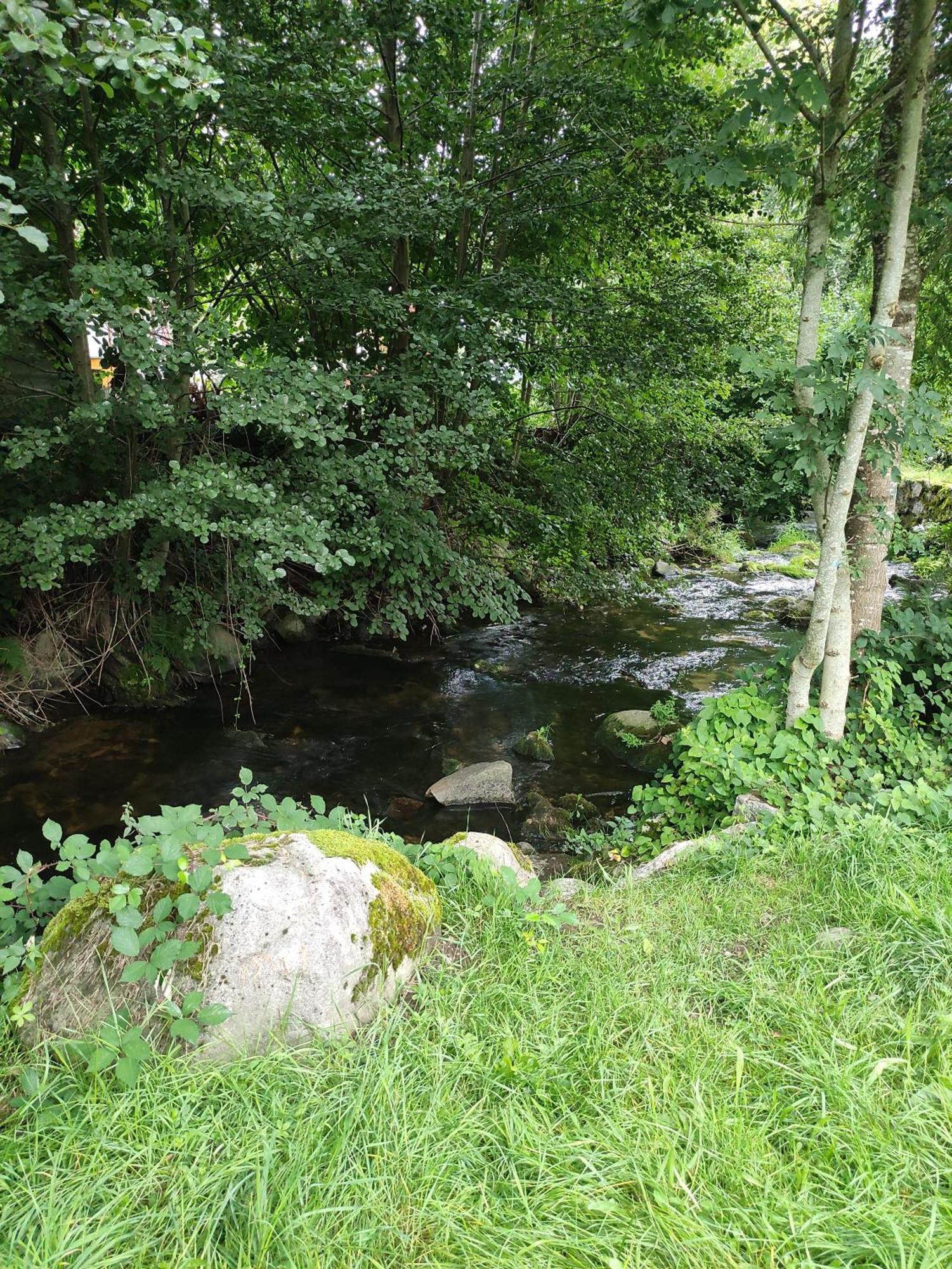 Les Studios Du Frankenthal Stosswihr Dış mekan fotoğraf