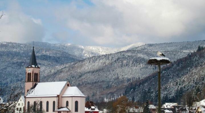 Les Studios Du Frankenthal Stosswihr Dış mekan fotoğraf